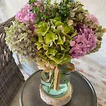 Les Hortensias Canly