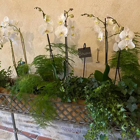 Bed & Breakfast Les Hortensias Canly