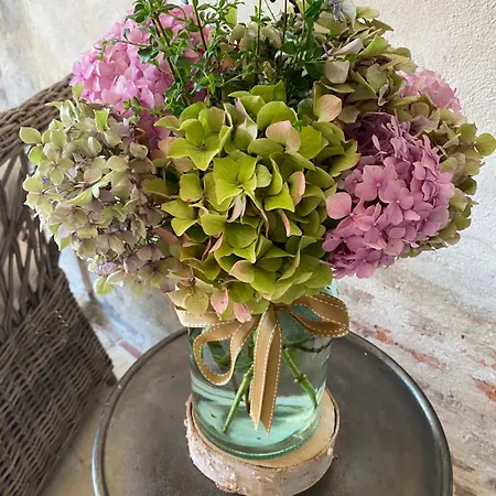 Les Hortensias Canly