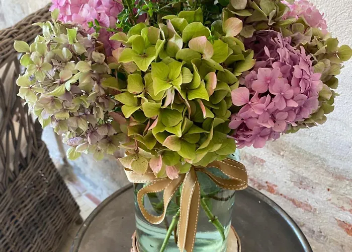 Les Hortensias Canly