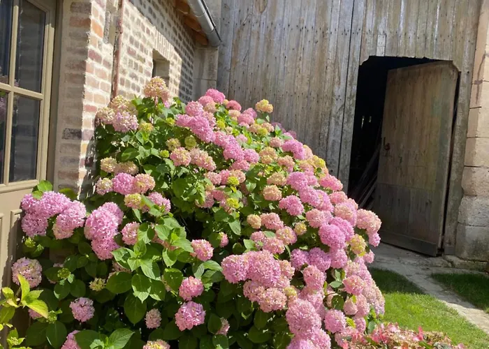 Les Hortensias Bed & Breakfast 3*